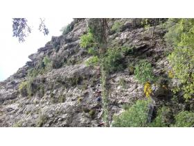 photo coins arrondis