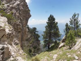 photo coins arrondis