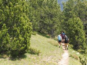 photo coins arrondis