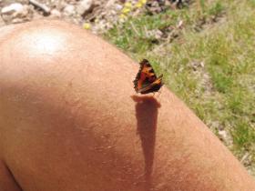 photo coins arrondis