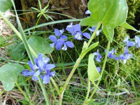 photo coins arrondis