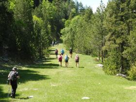 photo coins arrondis