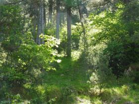 photo coins arrondis