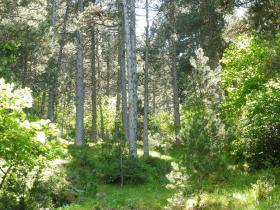 photo coins arrondis