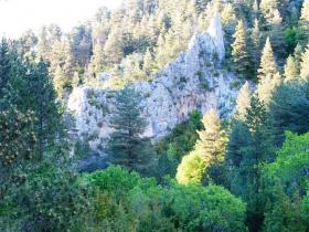 photo coins arrondis