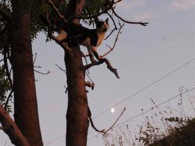 photo coins arrondis