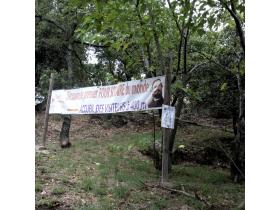 photo coins arrondis