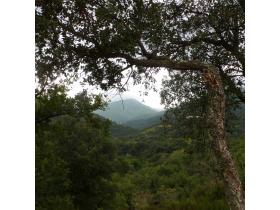 photo coins arrondis