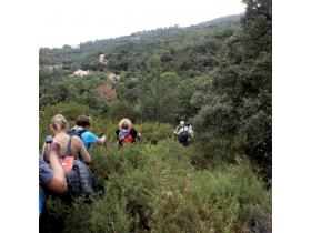 photo coins arrondis