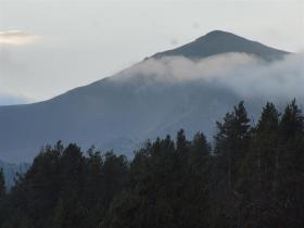 photo coins arrondis