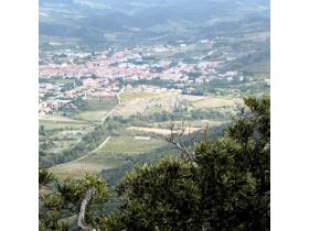 photo coins arrondis