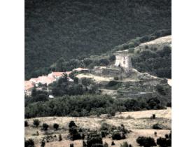 photo coins arrondis