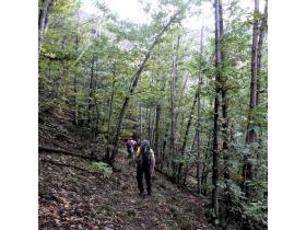 photo coins arrondis