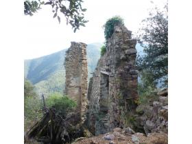 photo coins arrondis