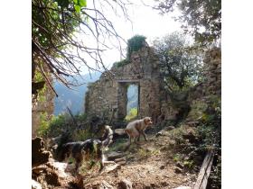 photo coins arrondis