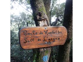 photo coins arrondis