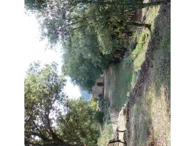 photo coins arrondis