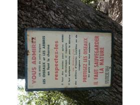 photo coins arrondis