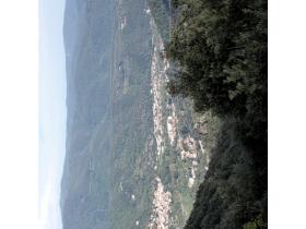 photo coins arrondis