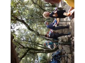 photo coins arrondis