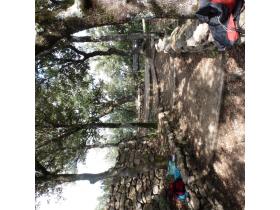 photo coins arrondis