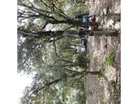 photo coins arrondis