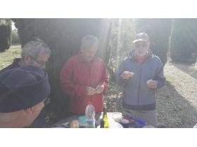 photo coins arrondis