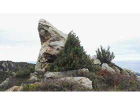 photo coins arrondis