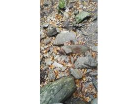 photo coins arrondis