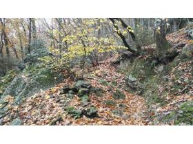 photo coins arrondis