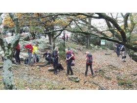 photo coins arrondis