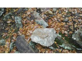 photo coins arrondis