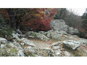 photo coins arrondis