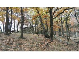 photo coins arrondis