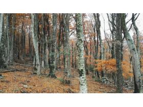 photo coins arrondis