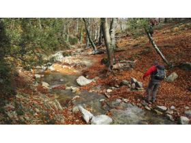 photo coins arrondis