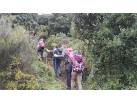 photo coins arrondis