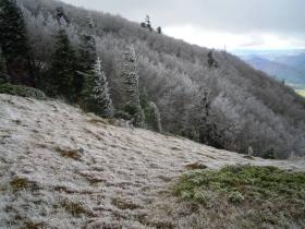 photo coins arrondis