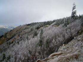 photo coins arrondis