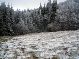 photo coins arrondis