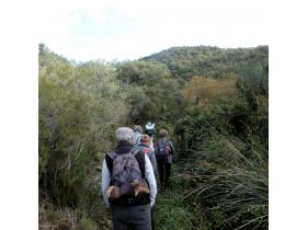 photo coins arrondis