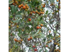 photo coins arrondis