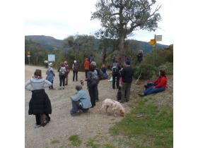 photo coins arrondis