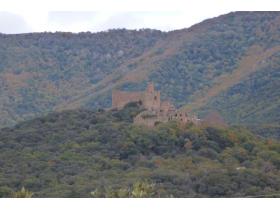 photo coins arrondis