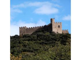 photo coins arrondis