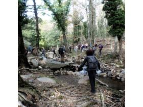 photo coins arrondis