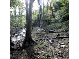 photo coins arrondis