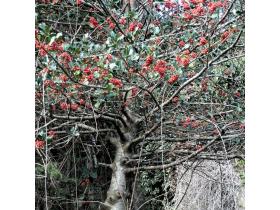 photo coins arrondis