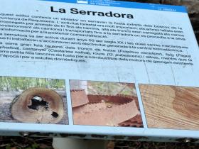 photo coins arrondis