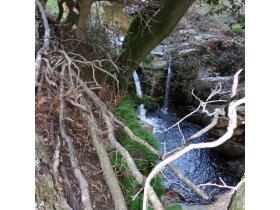 photo coins arrondis